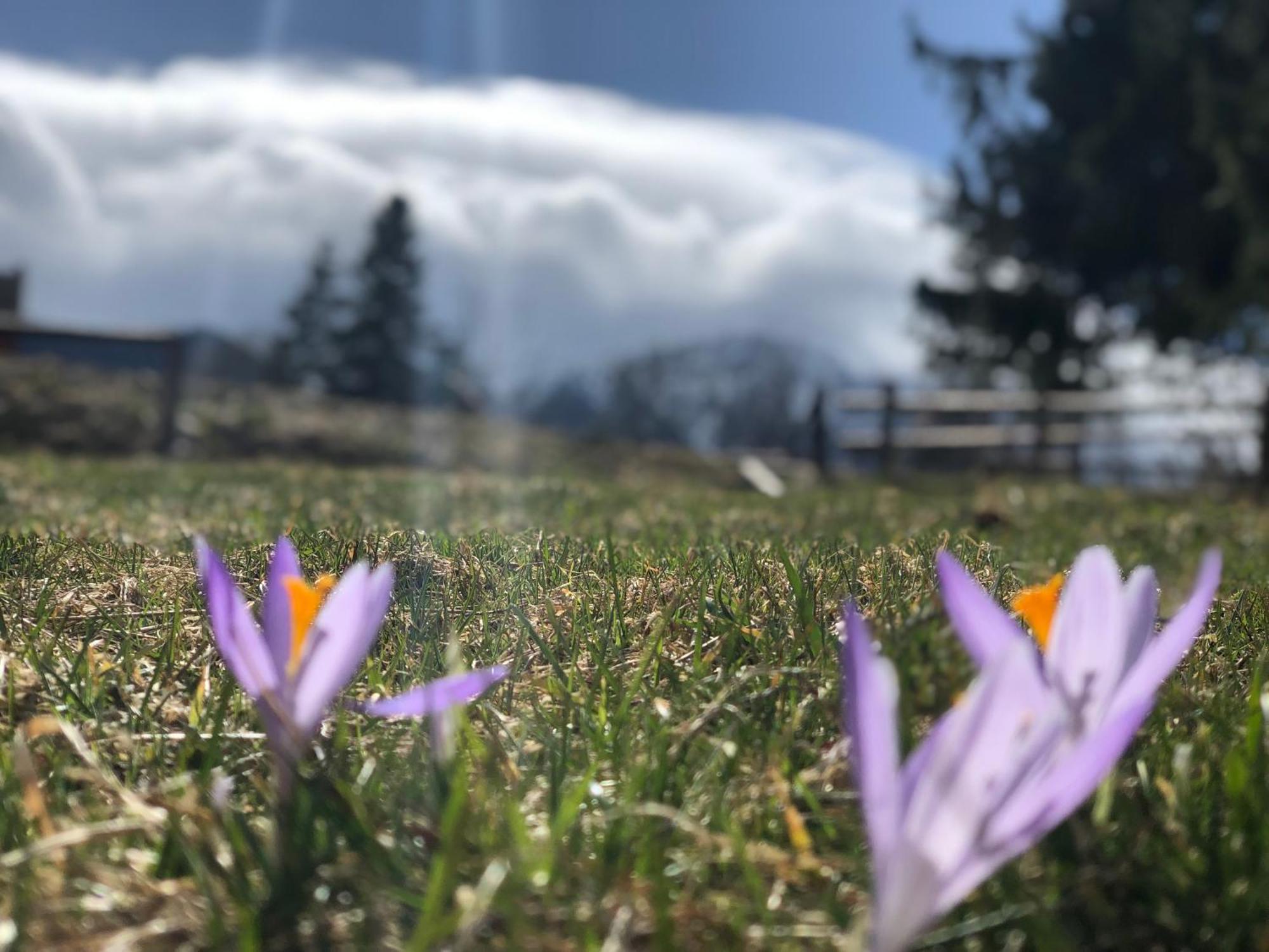 Geovita Rezort Zakopane