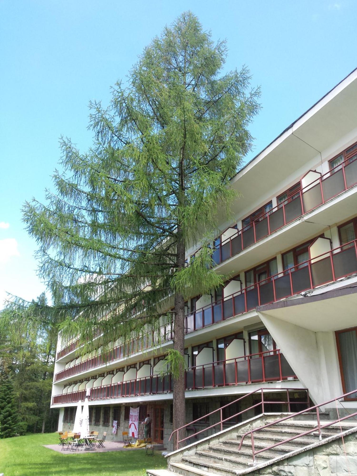 Resort Geovita 3*